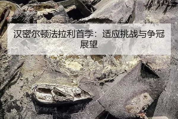 han-mi-er-dun-fa-la-li-shou-ji-shi-ying-tiao-zhan-yu-zheng-guan-zhan-wang-3-989.jpg