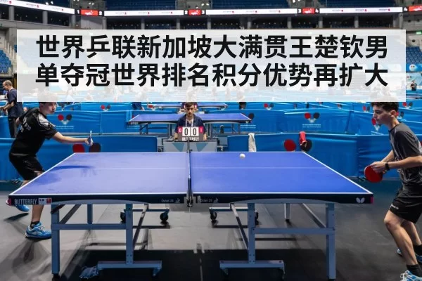 table tennis match action